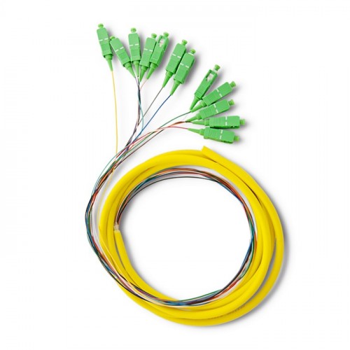 Qoltec 12 x Pigtail fiber optic SC/APC | Singlemode | G652D | 2m