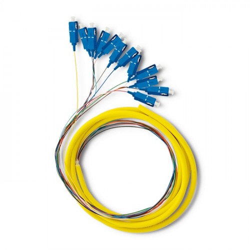 Qoltec 12 x Pigtail fiber optic SC/UPC | Singlemode | G652D | 2m