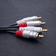 thumbail-1