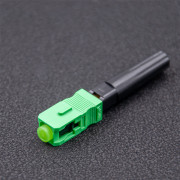 thumbail-2