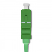 thumbail-7