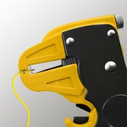 thumbail-3