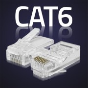 thumbail-2