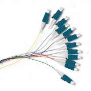 thumbail-1