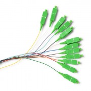 thumbail-1