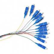 thumbail-1