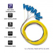 thumbail-3