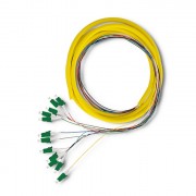 thumbail-2