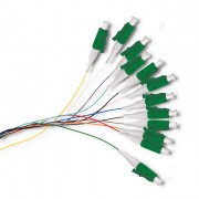 thumbail-1