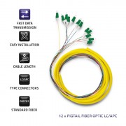 thumbail-3