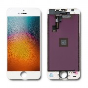 thumbail-2