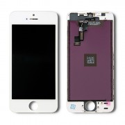 thumbail-4