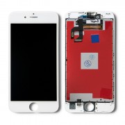 thumbail-4