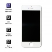 thumbail-1