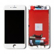 thumbail-4