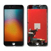 thumbail-2
